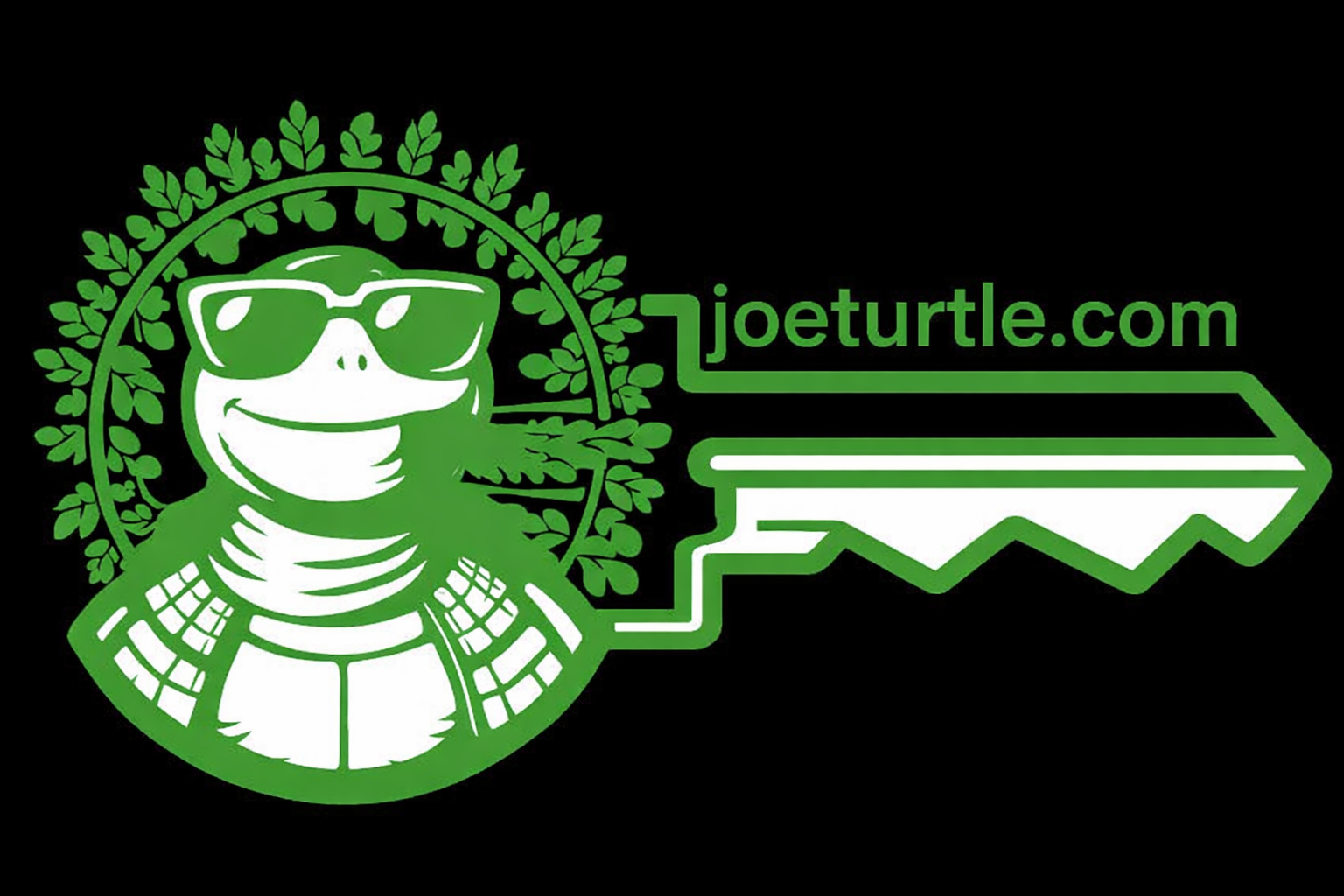 Joe Turtle Logo